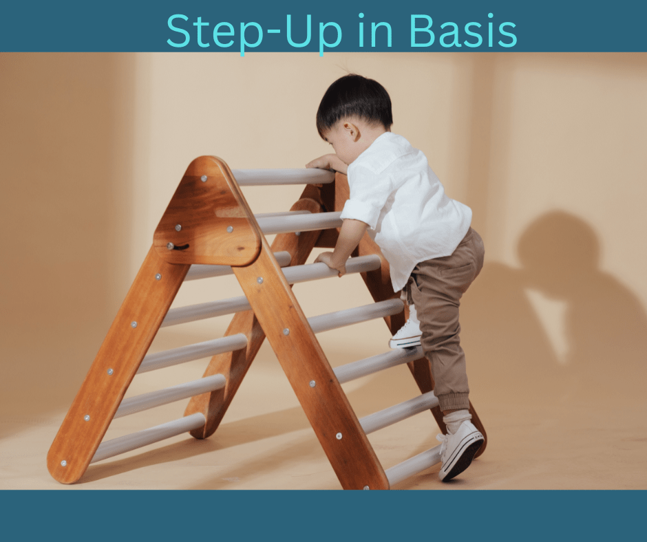 Step-Up in Basis